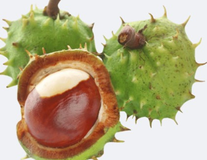 Spolupráce s Mysliveckým sdružením Přílepy