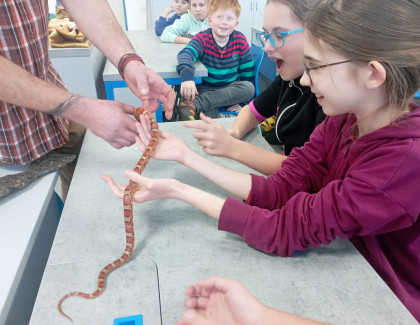 Přírodovědný program zaměřený na plazy a obojživelníky pro žáky 6. a 7. ročníku