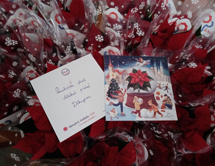 Vánoční růže 2025