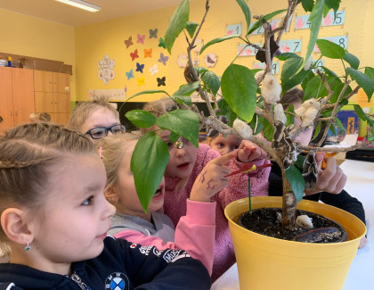 Objevování přírody v 1.B