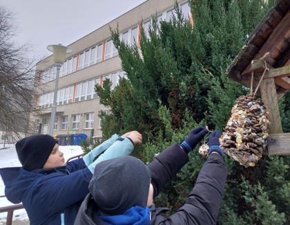 Šišky pro ptáčky