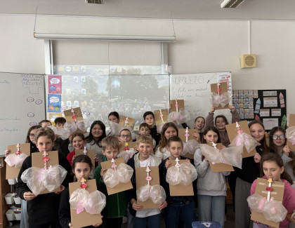 Jak fungují plíce? 