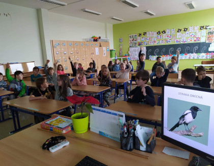 Kdo k nám létá na krmítko? 