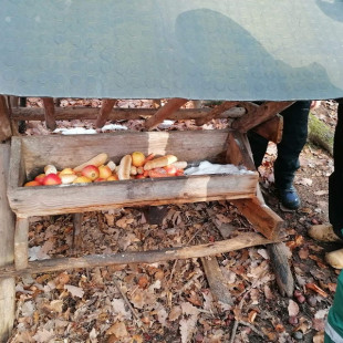 IMG-20211217-WA0020